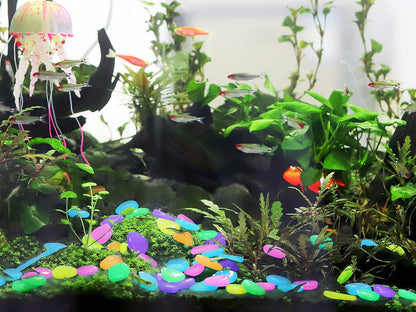 Luminous Stones – Mixed Color Glow Stones